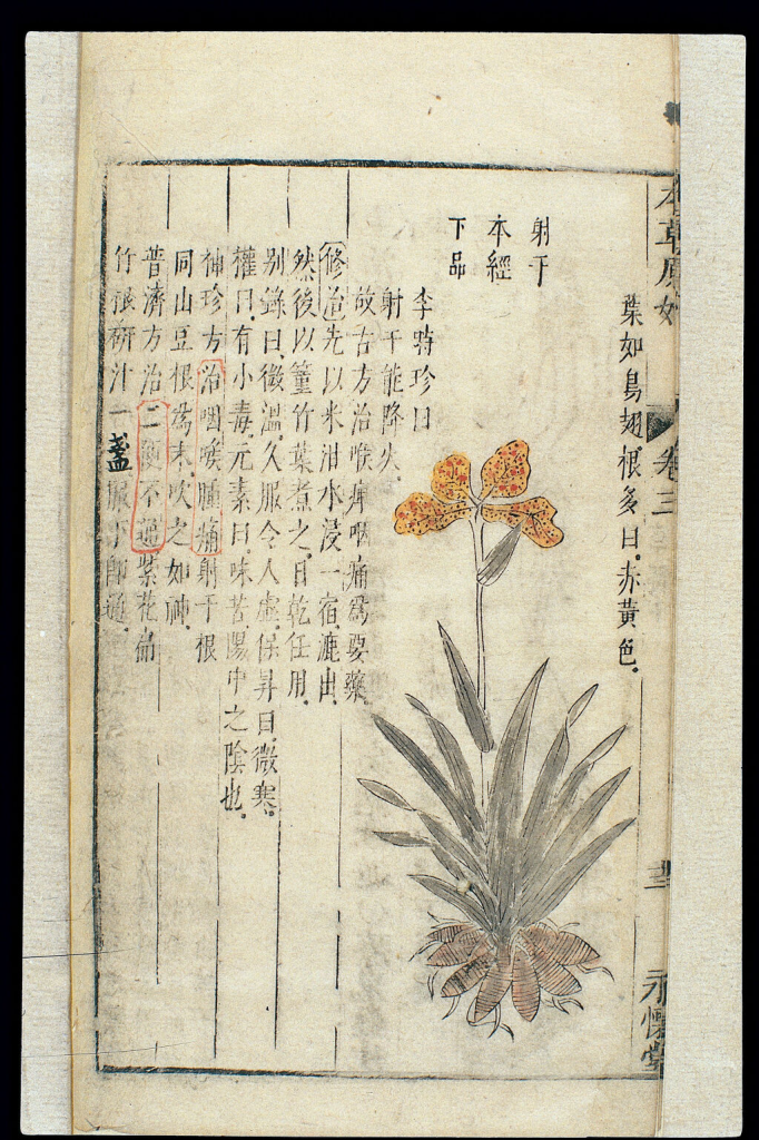 图片3