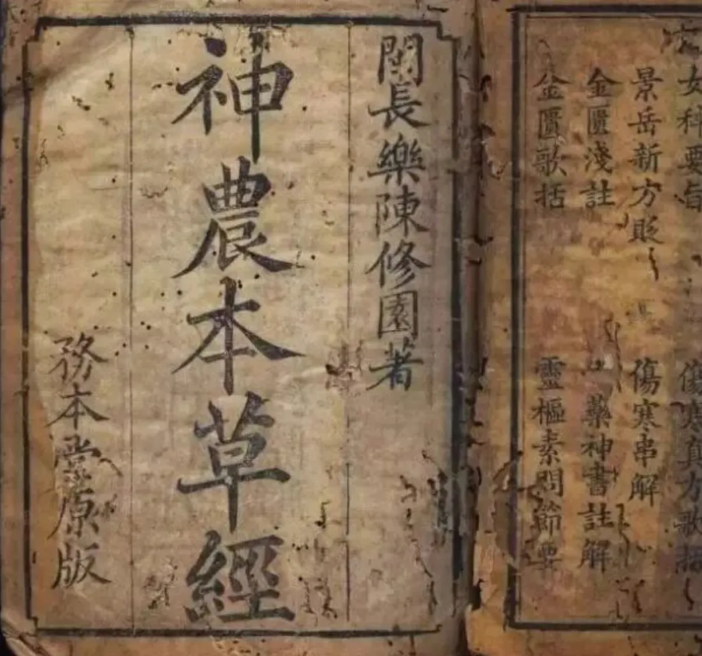 图片9
